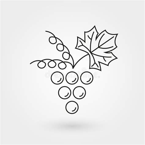 Icono Del Esquema De Las Uvas Ilustraci N Del Vector Ilustraci N De