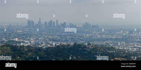 Los Angeles Hot Sunset View With Palm Tree And Downtown In Background Stock Photo Alamy