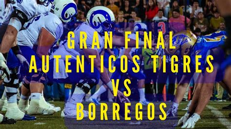 FINAL ONEFA Tigres UANL Vs Borregos MTY Highlights Mexican College