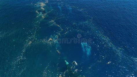 Plastic Pollution At Liberty Wreck Ship In Bali Tourism And Ecological