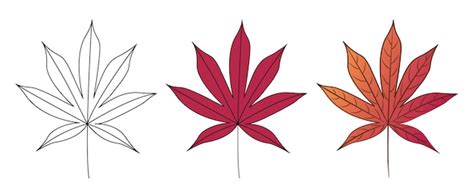 Premium Vector | Japanese red maple tree autumn red leaf. drawing by ...