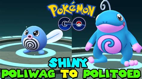 Evolving Shiny Poliwag To Shiny Politoed In Pokemon Go Youtube