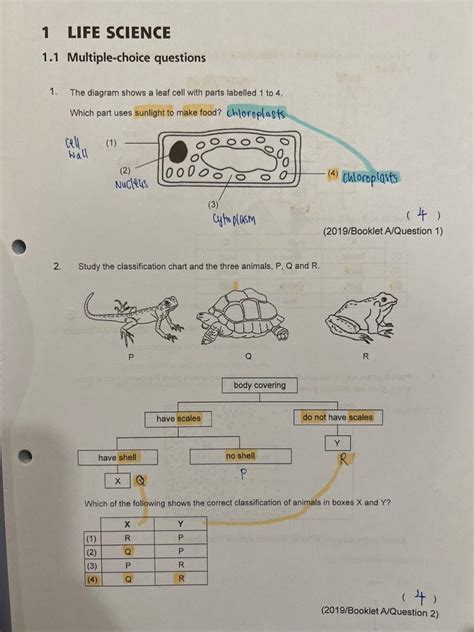 PSLE Exam Papers 2019 2021 Topical Maths Science Bless Hobbies