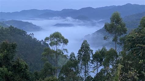 Recommended Luxury Lodges In Bwindi Impenetrable National Park