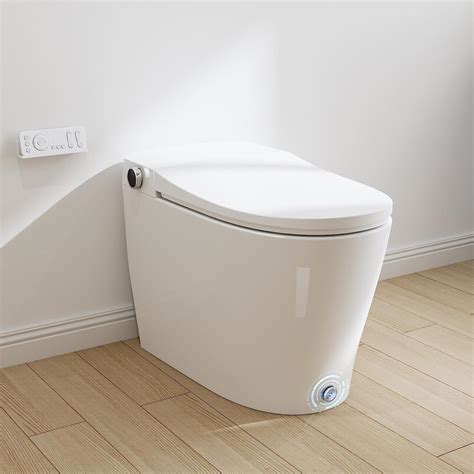 Toilet With Bidet - 5 Best Bidet Toilet Combo - The Home Guidance