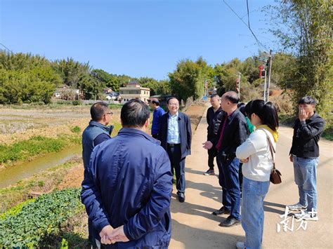 梅州兴宁：科技特派员助力春耕春种，赋能丝苗香米高质量发展唐湘种植永和镇