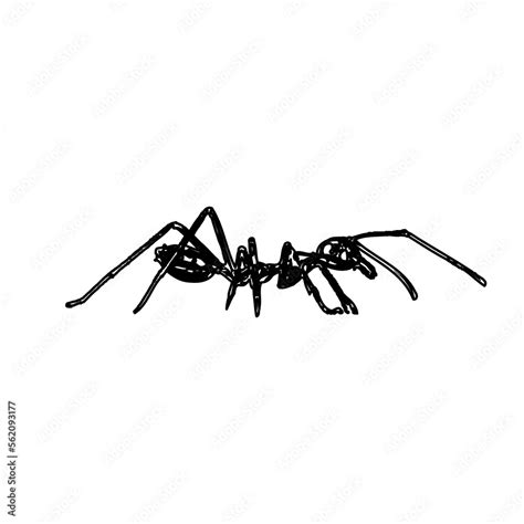 black and white sketch of an ant with a transparent background Stock ...