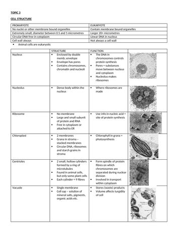 Edexcel Snab Topic 3 Revision Notes Teaching Resources