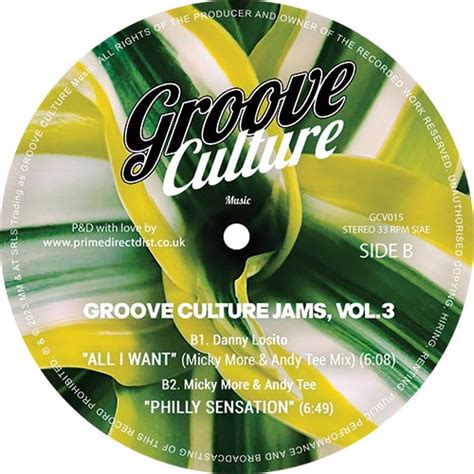 V A Groove Culture Jams Vol Inch