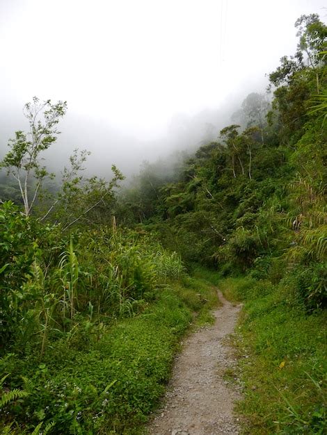 Premium Photo The Road On Mountains In Banaue Philippines