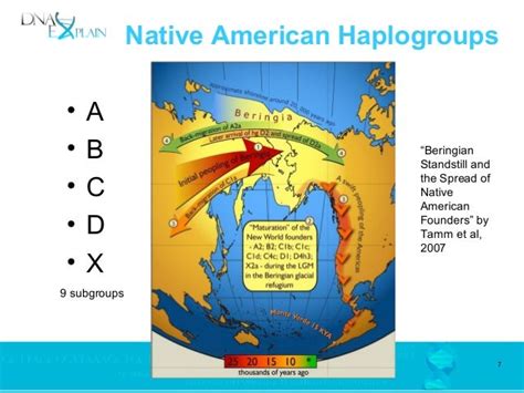 Native American Mitochondrial Haplogroup Discoveries