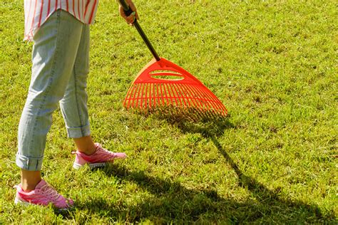 Lawn Care 101 - Raking - A Touch of Dutch Landscaping & Garden Services Ltd