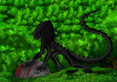 predalien  xerapredalien  deviantart