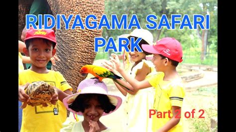 Ridiyagama Safari Park Sri Lanka Part 2 Of 2 Youtube