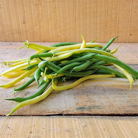 Beans Jardin Des Collines