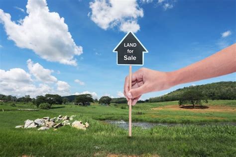 Navigating The Legal Landscape Of Buying Land In Florida A