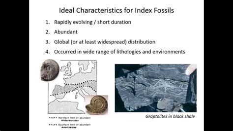 Biostratigraphy - YouTube