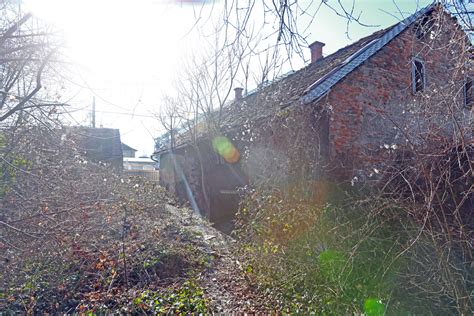 Foto Ru Evino Na Robu Magdalenskega Parka Je Kupil Mariborski