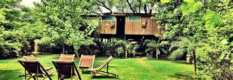 Tree House Resort, Jaipur | Things to do in Rajasthan