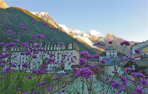 Tour Du Mont Blanc Vandretur Rundt Om Mont Blanc