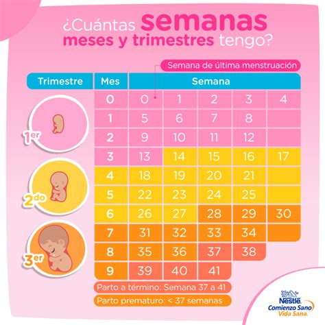 Cómo calcular las semanas de embarazo Baby and Me México