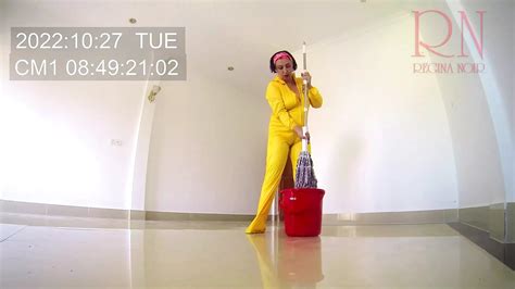 Naked Maid Cleans Office Space Maid Without Panties Hall 1 Nipples Porn Feat Regina Noir