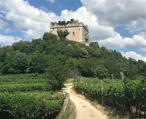 Vigneti E Colline Dellest Veronese FIAB Verona Aps