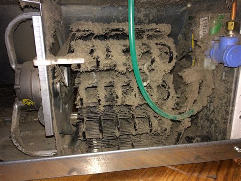 Redwing Property Maintenance | Bozeman MT