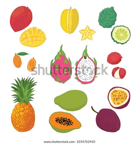 Tropical Fruits Vector Illustrations Set Stock Vector Royalty Free