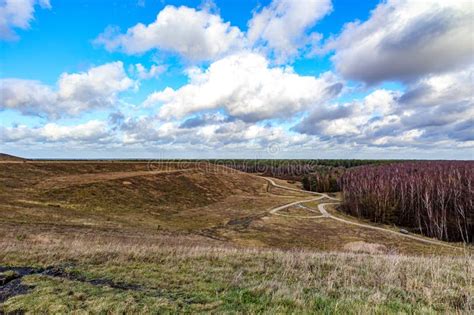 panoramic landscape  valley plain  trails  trees  forest