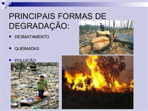 O Que Significa Degradacao - Degradação Ambiental, Tipo, O Que É Degradação Ambiental – VHNZ