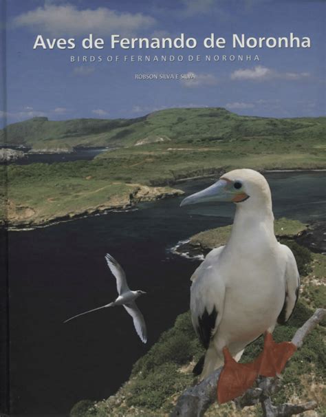 (PDF) Aves de Fernando de Noronha / Birds of Fernando de Noronha