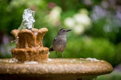 Improve Your Yard With Stone Outdoor Fountains