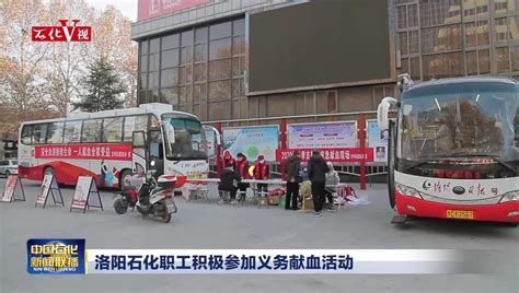 洛阳石化炼油结构调整项目中交 中国石化网络视频