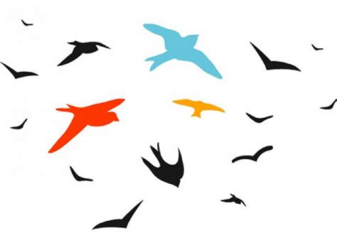 abstract Bird flying set in colour | download Free Animal Vectors