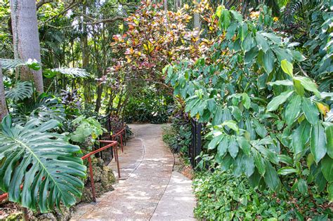 Historic Sunken Gardens - St. Petersburg | Curious Craig