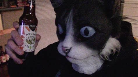 TJ Gets Haircut CatDad Loves Tröegs Nugget Nectar Beer And Smell Cats