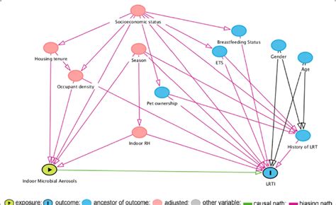 Directed Acyclic Graph Dag Demonstrating Causal Relationships