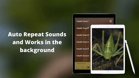 Katydid Sounds - Apps on Google Play