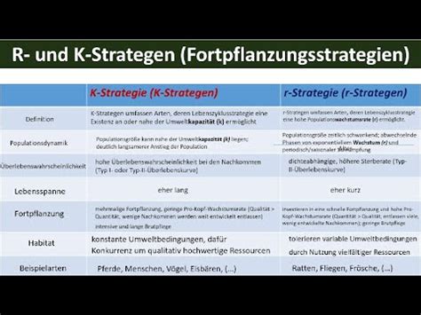 R und K Strategen Fortpflanzungsstrategien Biologie Ökologie