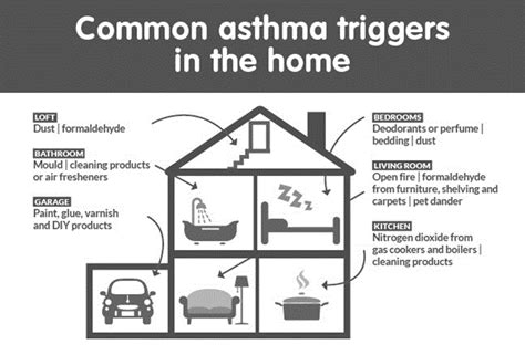 Cleaning Products Can Lead to Asthma Infographic – SafetyNow ILT