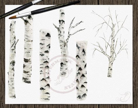 Watercolor Birch Tree Clipart Leaves Greenery Foliage Clip Art Etsy