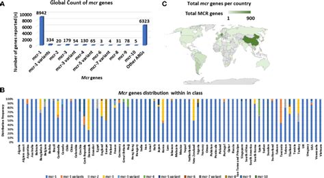 Frontiers Global Epidemiology Genetic Environment Risk Factors And