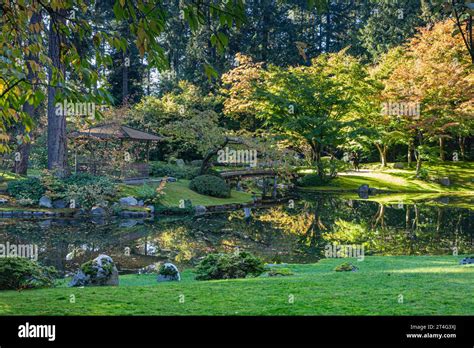 Overview Of The Nitobe Japanese Garden At Ubc In Vancouver Canada Stock