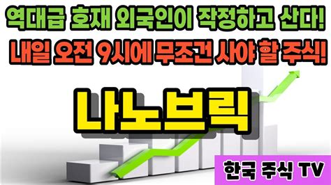 나노브릭 외국인 기관 쌍끌이 매수 단기간 20배 상승할 역대급 호재 터졌다 비공개 Ir 무상증자 돌발 공시 역사적