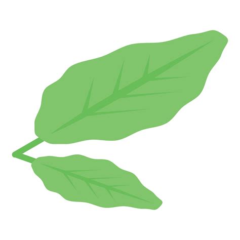 Kiwi leaf icon, isometric style 15377721 Vector Art at Vecteezy