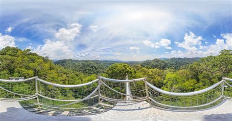 Brunei Ulu Temburong National Park Canopy Walkway