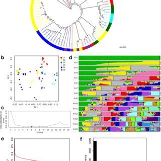 The Population Structure Analysis Based On All Rice Accessions A