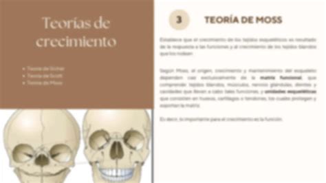Teorías Del Crecimiento Craneofacial Diapositivas De Ortodoncia Docsity