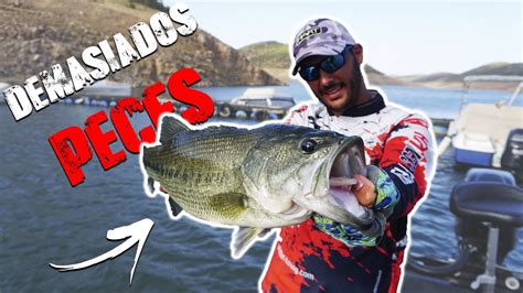 Aquí HAY DEMASIADOS PECES El mejor día del año PESCA del BLACK BASS